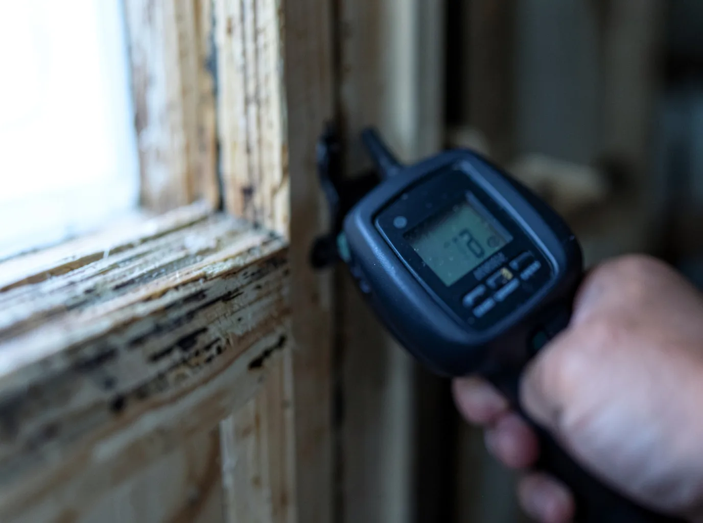 Moisture Inspection And Documentation in Manasquan, NJ